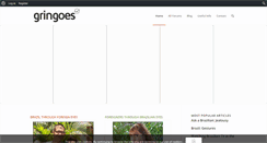Desktop Screenshot of gringoes.com